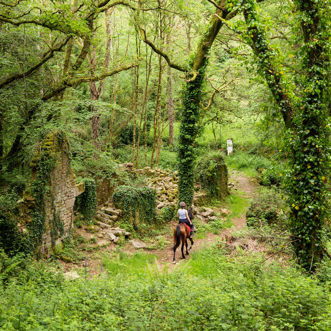 Vallée de Saint Maur Langonnet 