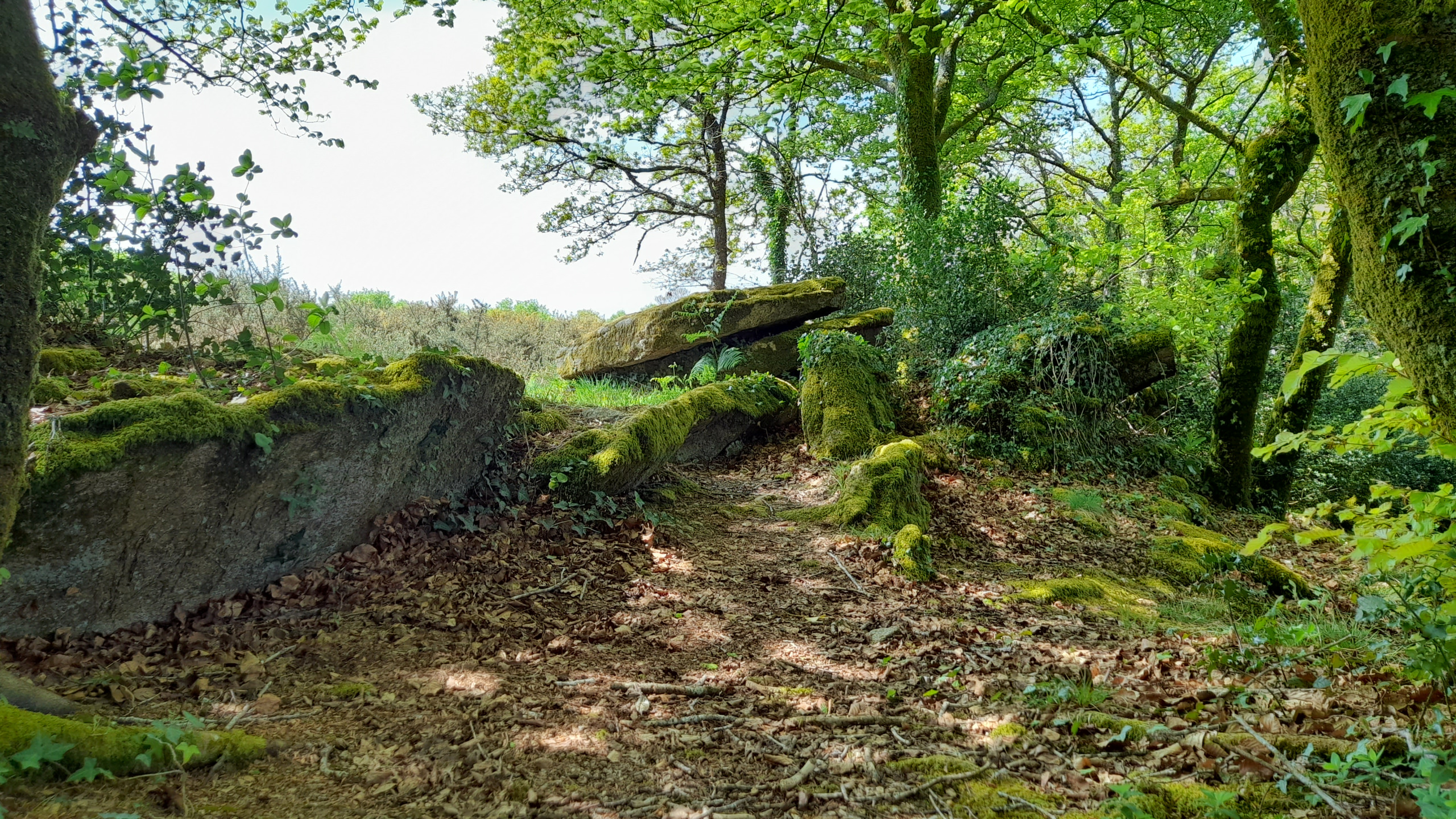 L'allée couverte de Keroual à Lanvénégen