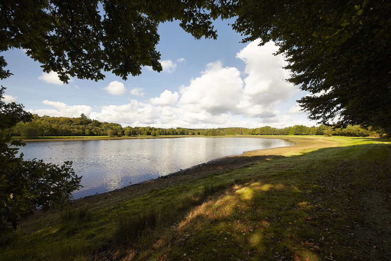 Etang du do