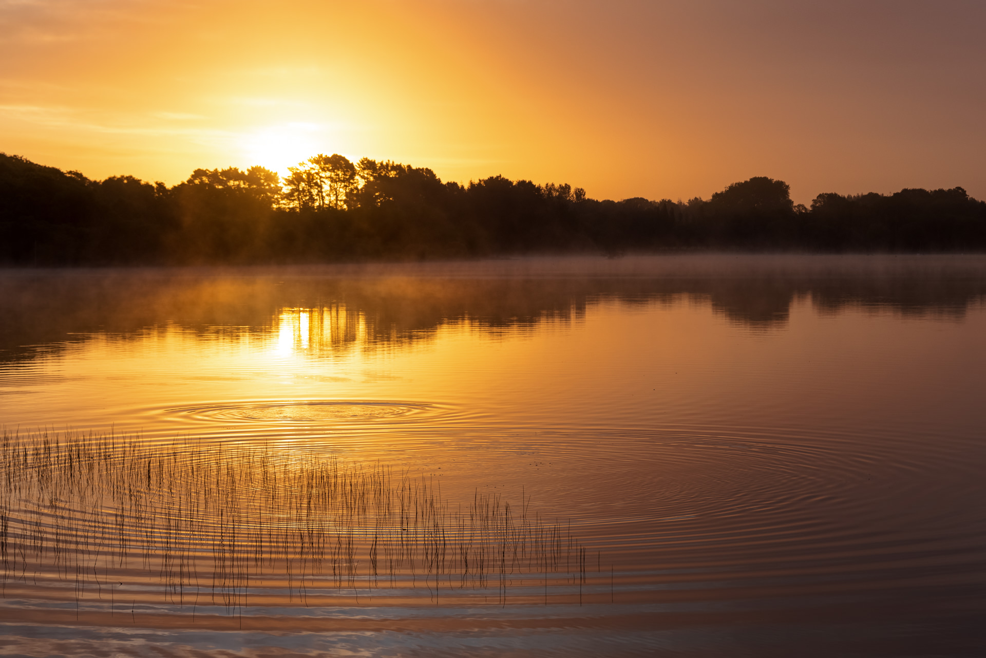 Lever de soleil