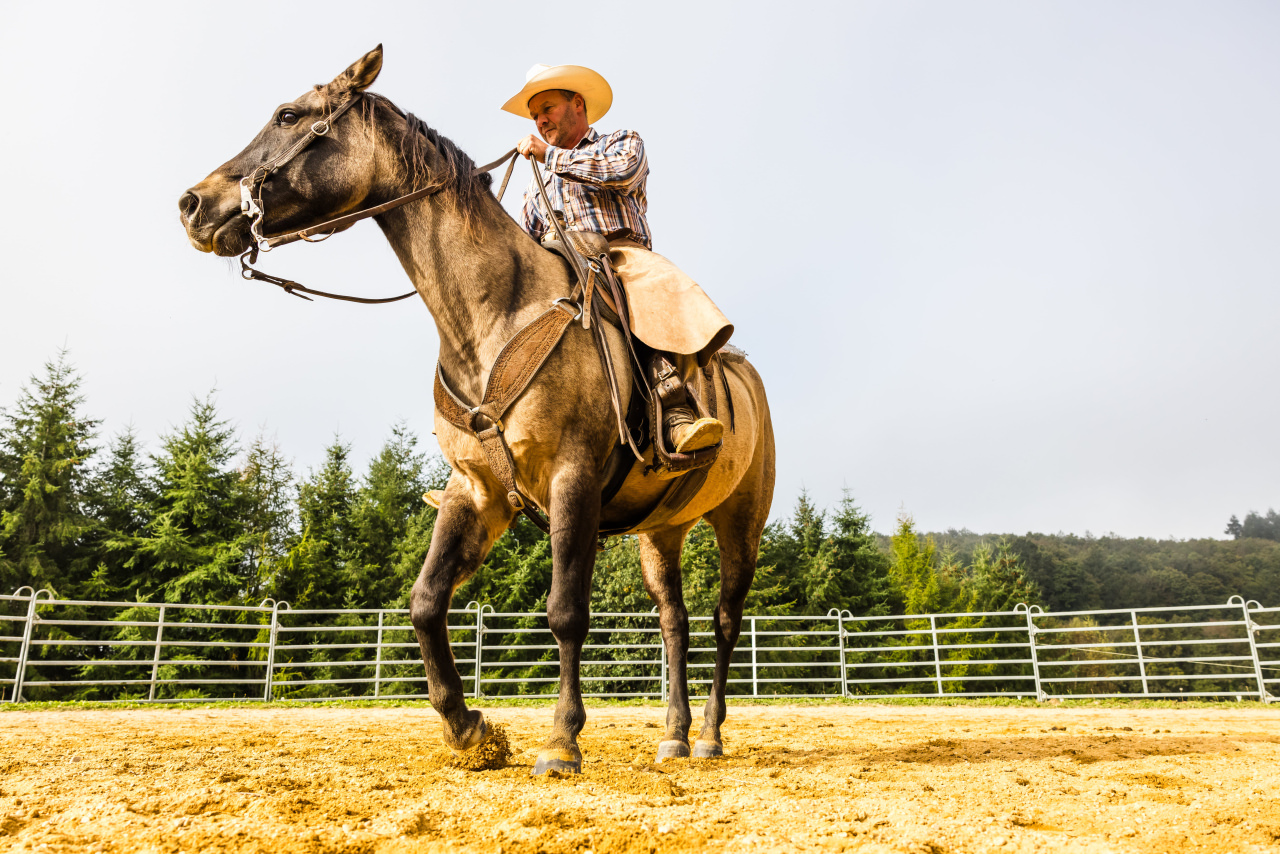 Didier Dubrui monte un cheval