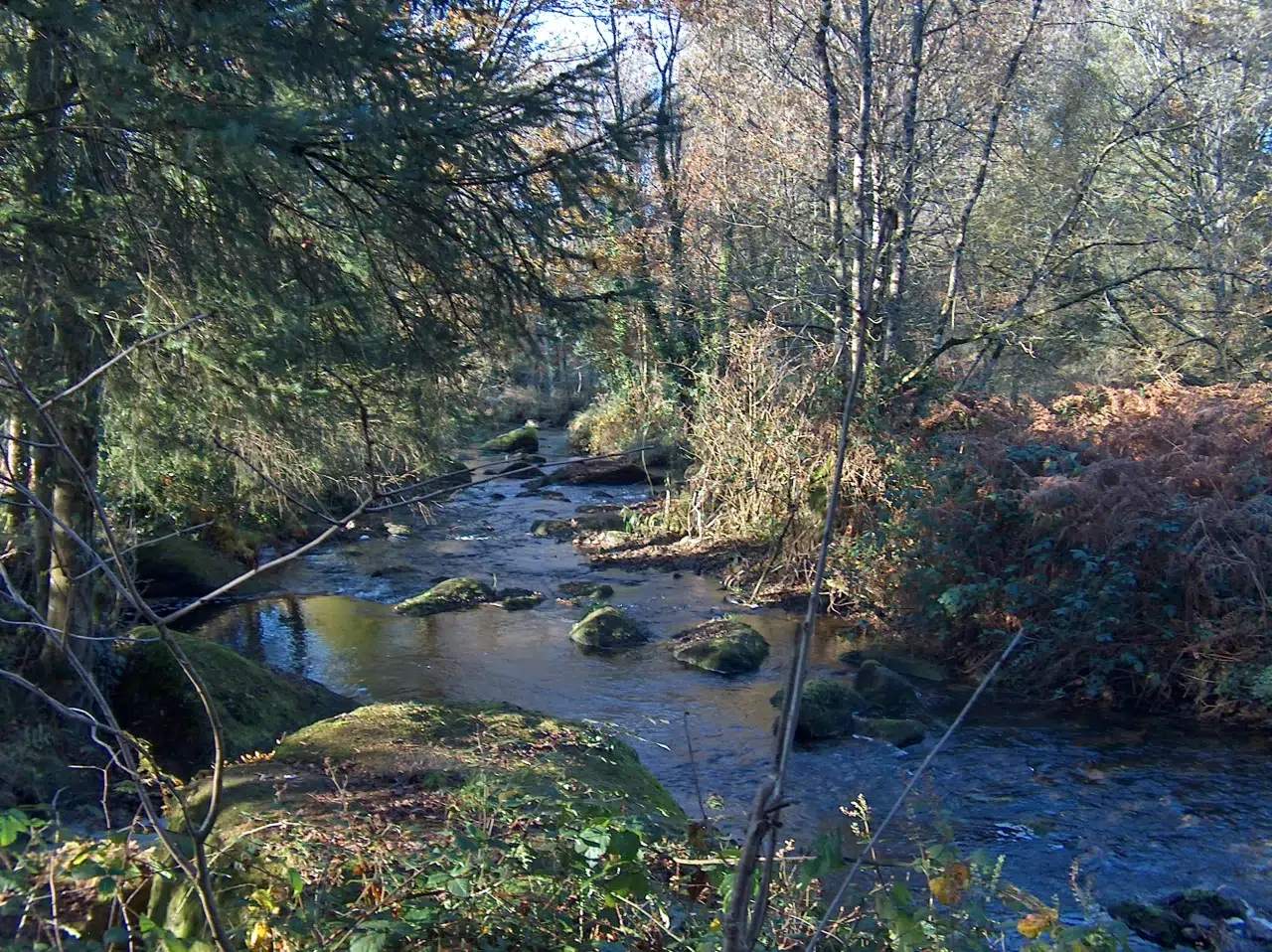 Kergoff d'en bas au Pays du roi Morvan