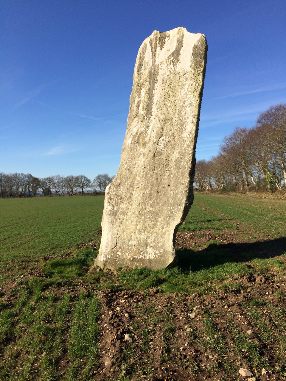 Le menhir de Kerbiquet dans un champ de Gourin