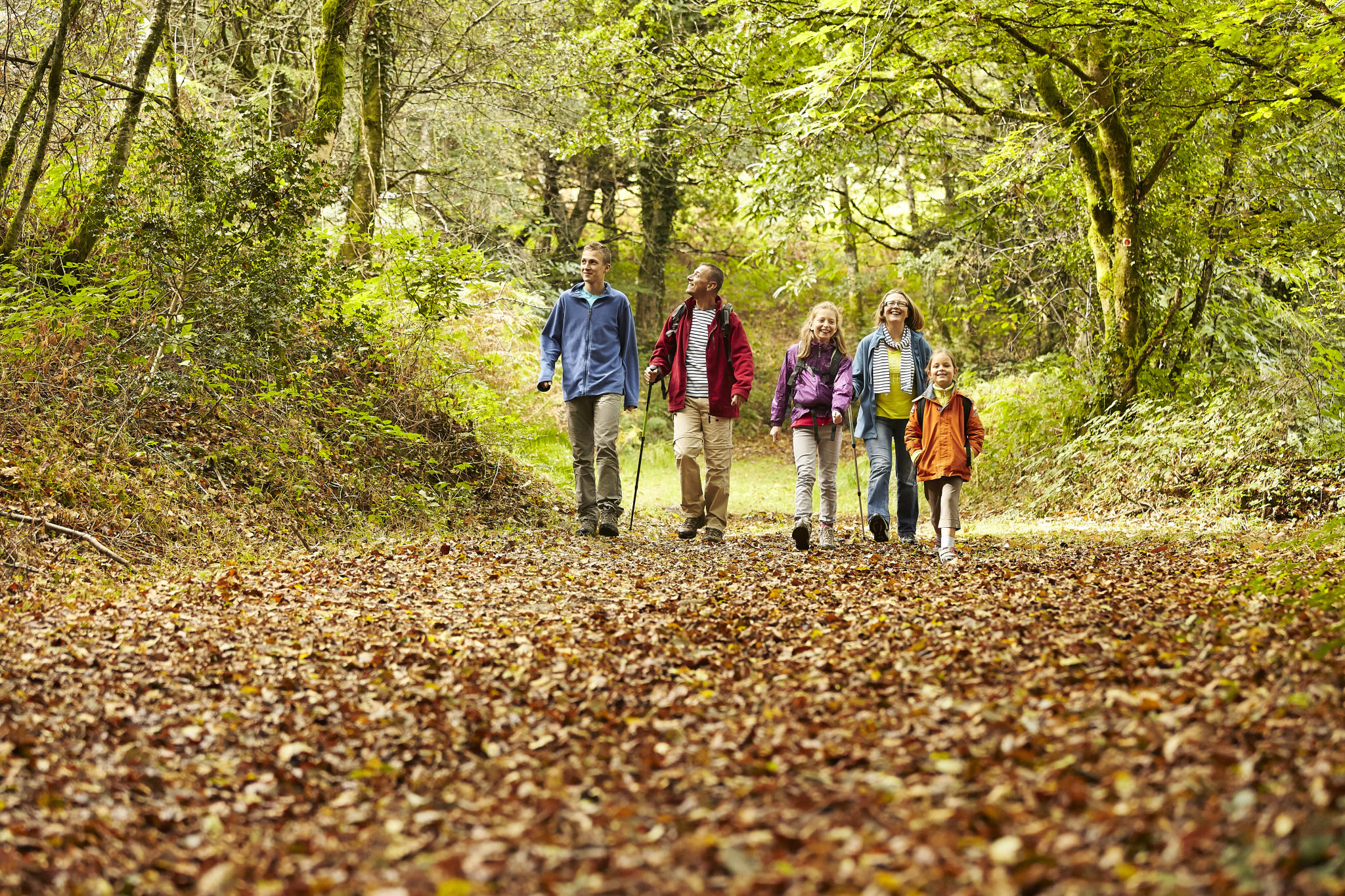 Une famille en randonnée en forêt dans le Pays du roi Morvan